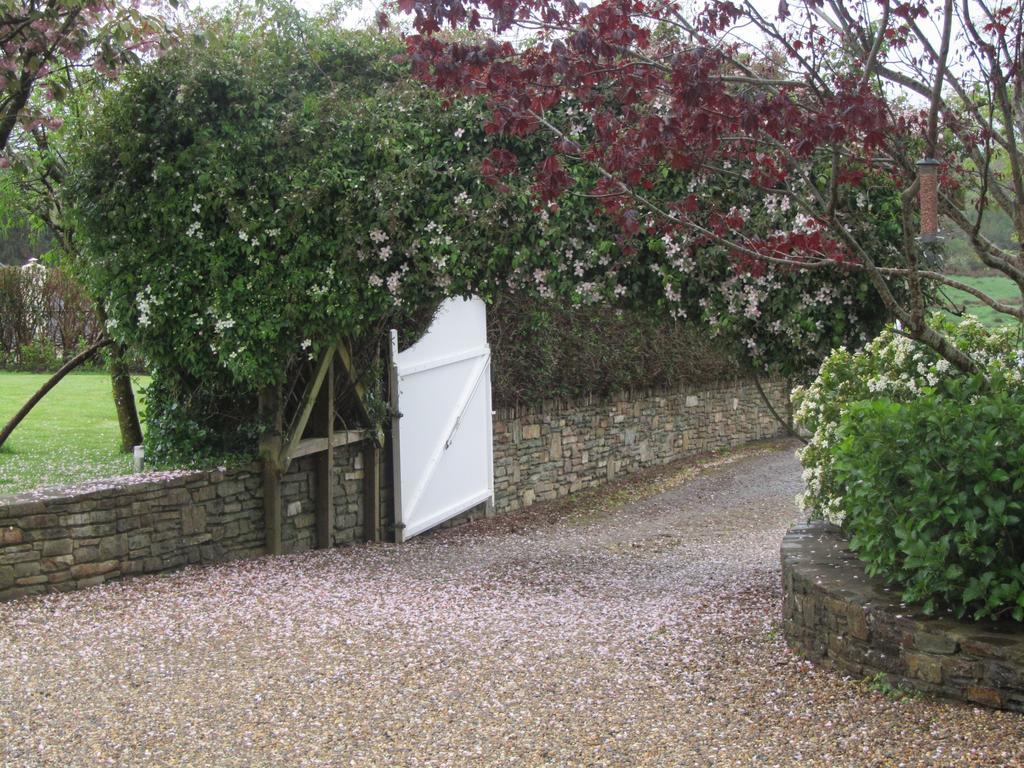 Edencrest B&B Bantry Exterior photo